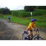 PICT0016.JPG